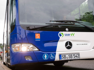 Bus Busse
