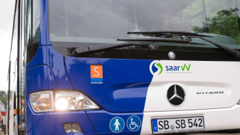 Bus Busse