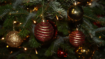 Weihnachtsbaum Weihnachtsbaum