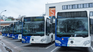 Bus Busse