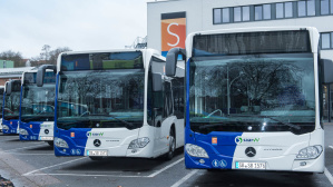 Bus Busse