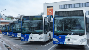 Bus Busse