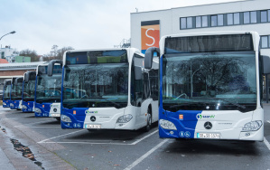 Bus Busse