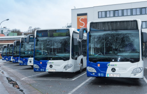 Bus Busse