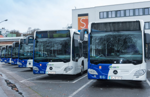Bus Busse