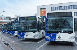 Bus Busse