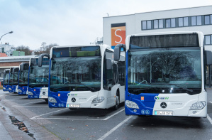 Bus Busse
