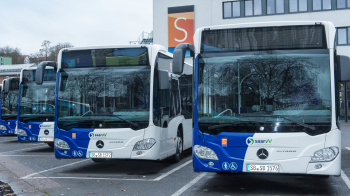 Bus Busse