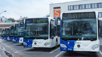 Bus Busse