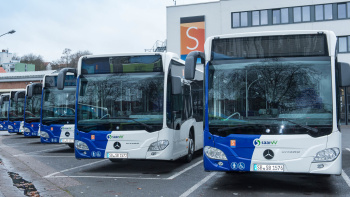 Bus Busse
