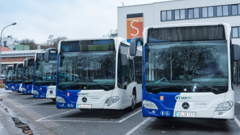 Bus Busse