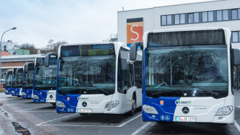 Bus Busse