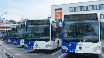 Bus Busse