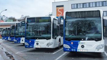 Bus Busse