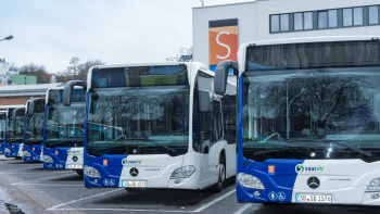 Bus Busse