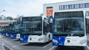 Bus Busse