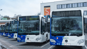 Bus Busse