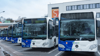 Bus Busse