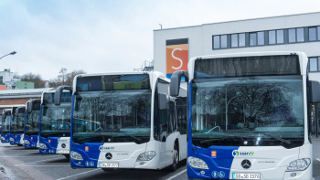 Bus Busse