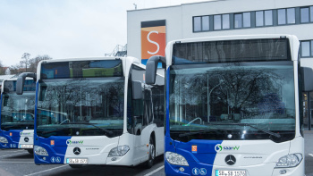 Bus Busse