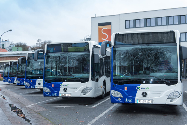Bus Busse