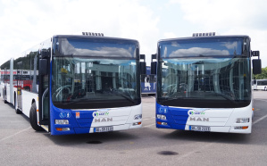 Gelenkbusse Gelenkbusse