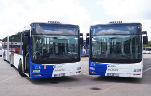 Gelenkbusse