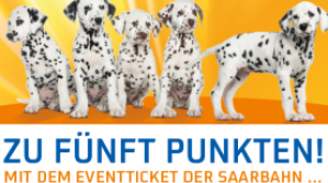 Mit dem EventTicket zum CSD EventTicket