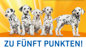 Eventticket ZU FÜNFT PUNKTEN!